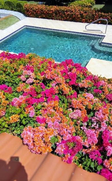 Casa De Los Suenos B&B Coronado Panama Плайя-Коронадо Экстерьер фото